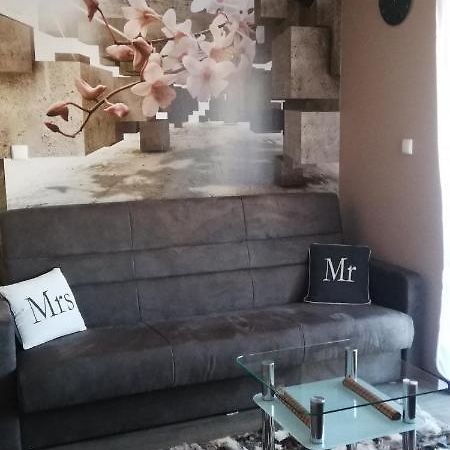 זקופאנה Comfortstudio מראה חיצוני תמונה