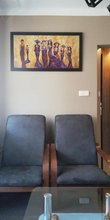 זקופאנה Comfortstudio מראה חיצוני תמונה