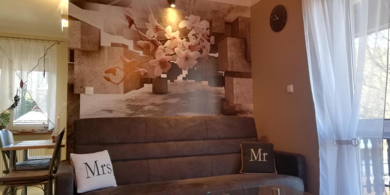 זקופאנה Comfortstudio מראה חיצוני תמונה