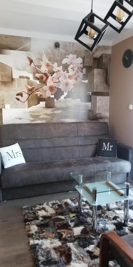 זקופאנה Comfortstudio מראה חיצוני תמונה