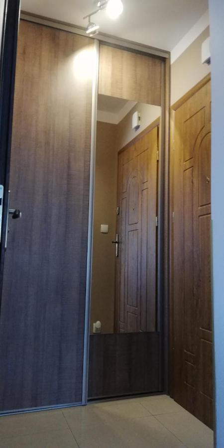 זקופאנה Comfortstudio מראה חיצוני תמונה